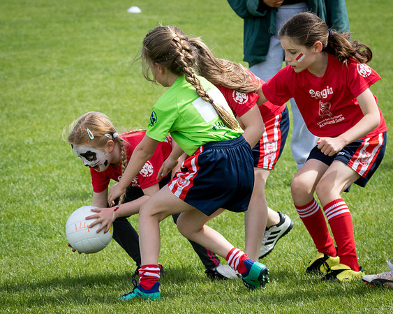 306-Cuala-Mini-All-Ireland-©-2019-John-Coveney