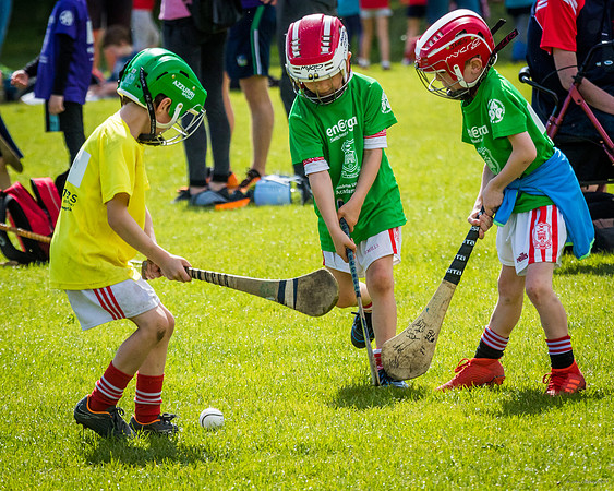 318-Cuala-Mini-All-Ireland-©-2019-John-Coveney