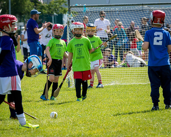 319-Cuala-Mini-All-Ireland-©-2019-John-Coveney