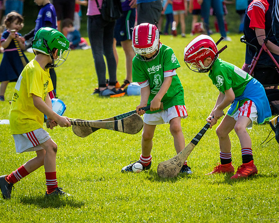 320-Cuala-Mini-All-Ireland-©-2019-John-Coveney