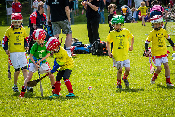 325-Cuala-Mini-All-Ireland-©-2019-John-Coveney