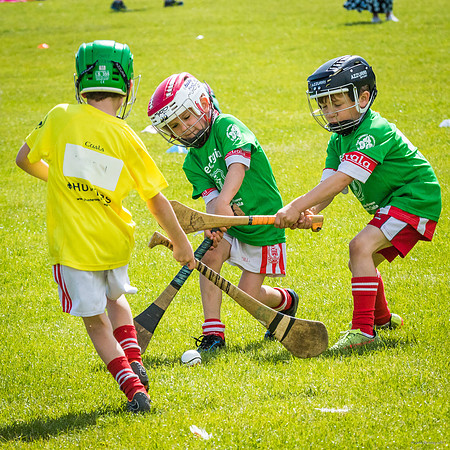 333-Cuala-Mini-All-Ireland-©-2019-John-Coveney