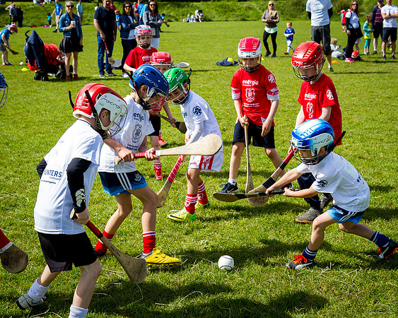 339-Cuala-Mini-All-Ireland-©-2019-John-Coveney