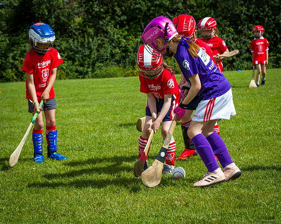 352-Cuala-Mini-All-Ireland-©-2019-John-Coveney