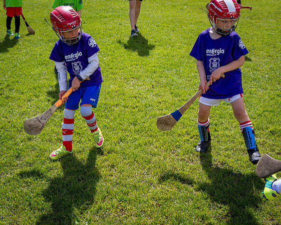 355-Cuala-Mini-All-Ireland-©-2019-John-Coveney