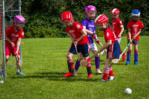 357-Cuala-Mini-All-Ireland-©-2019-John-Coveney