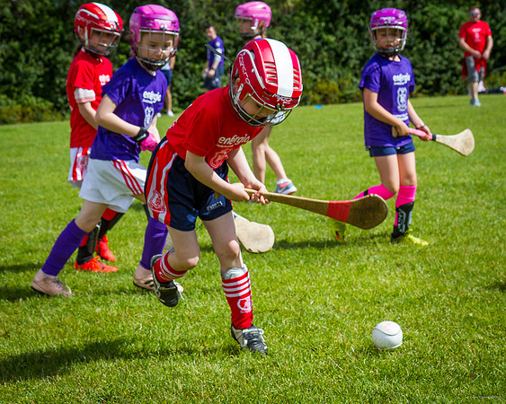 358-Cuala-Mini-All-Ireland-©-2019-John-Coveney