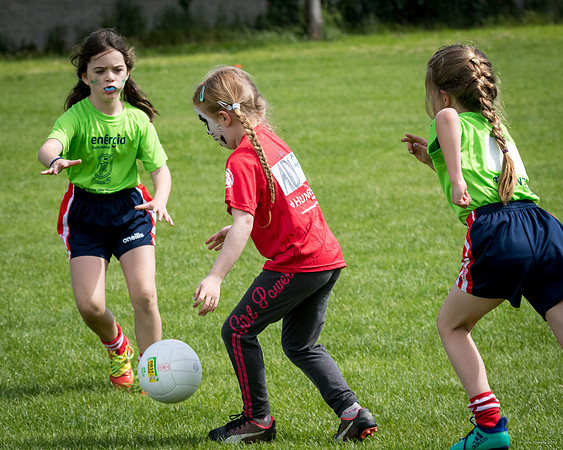 365-Cuala-Mini-All-Ireland-©-2019-John-Coveney
