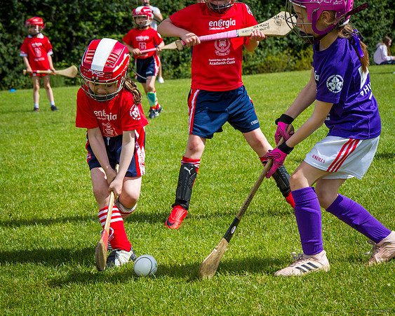 368-Cuala-Mini-All-Ireland-©-2019-John-Coveney