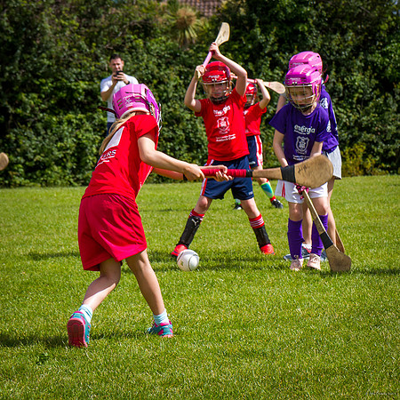 369-Cuala-Mini-All-Ireland-©-2019-John-Coveney
