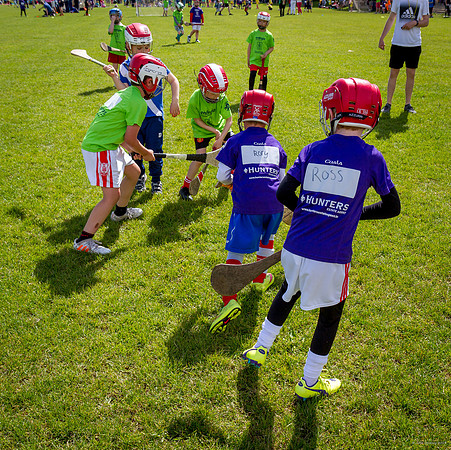 354-Cuala-Mini-All-Ireland-©-2019-John-Coveney