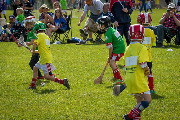 377-Cuala-Mini-All-Ireland-©-2019-John-Coveney