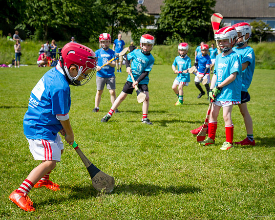 382-Cuala-Mini-All-Ireland-©-2019-John-Coveney