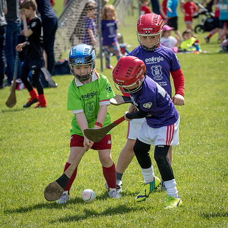 383-Cuala-Mini-All-Ireland-©-2019-John-Coveney