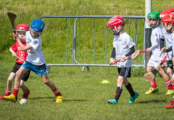 385-Cuala-Mini-All-Ireland-©-2019-John-Coveney