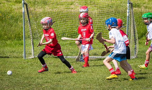 386-Cuala-Mini-All-Ireland-©-2019-John-Coveney