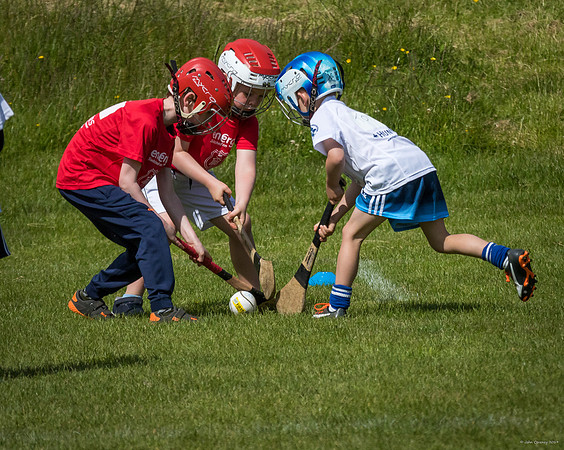 390-Cuala-Mini-All-Ireland-©-2019-John-Coveney