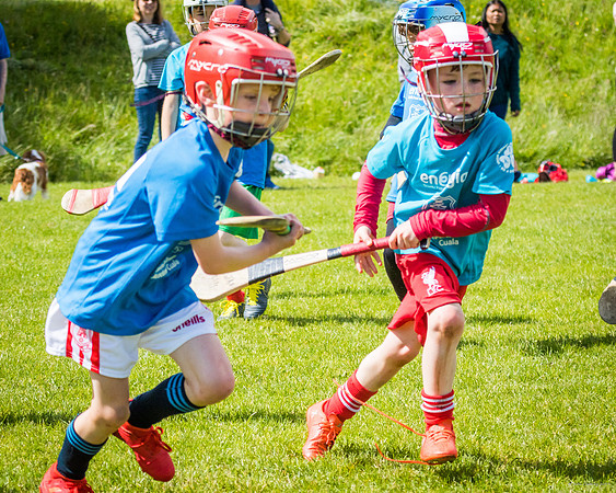 391-Cuala-Mini-All-Ireland-©-2019-John-Coveney