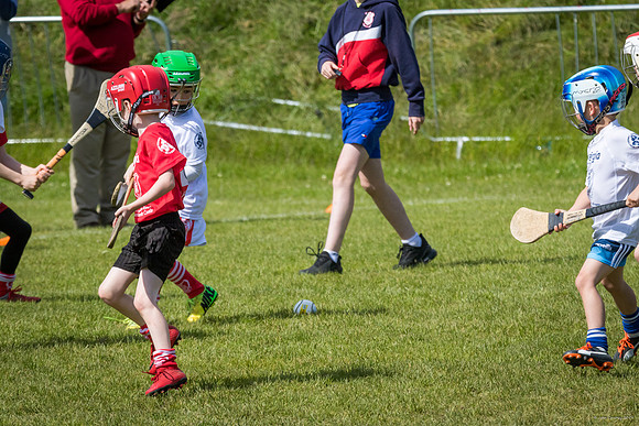 395-Cuala-Mini-All-Ireland-©-2019-John-Coveney