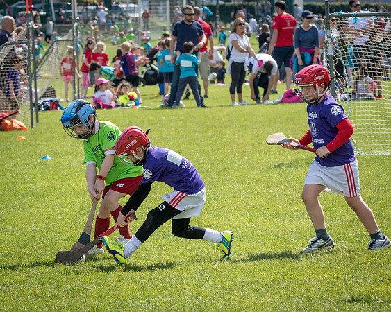397-Cuala-Mini-All-Ireland-©-2019-John-Coveney