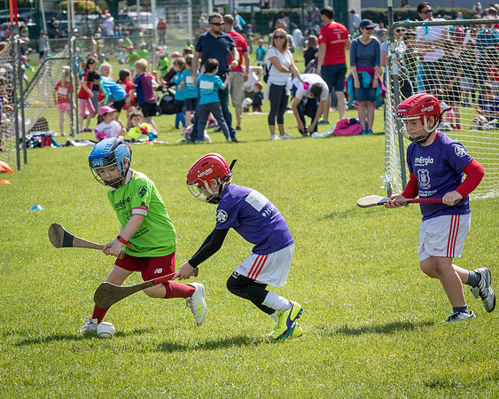 401-Cuala-Mini-All-Ireland-©-2019-John-Coveney