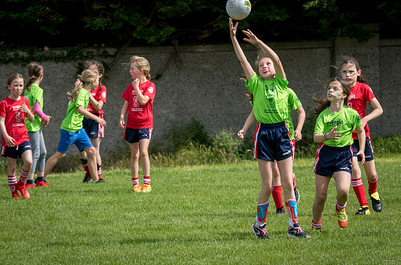 407-Cuala-Mini-All-Ireland-©-2019-John-Coveney