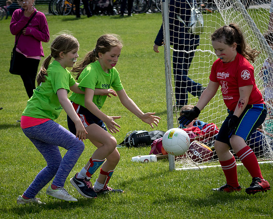 424-Cuala-Mini-All-Ireland-©-2019-John-Coveney