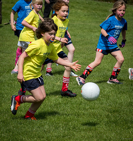 427-Cuala-Mini-All-Ireland-©-2019-John-Coveney