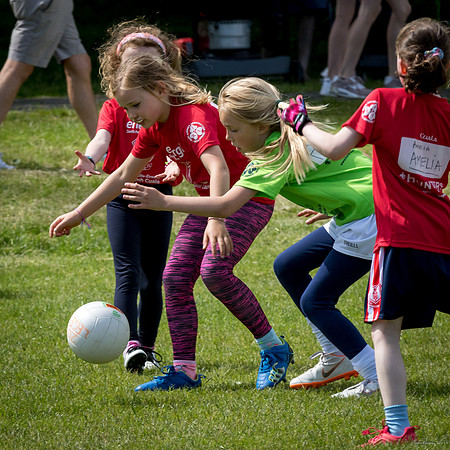 431-Cuala-Mini-All-Ireland-©-2019-John-Coveney