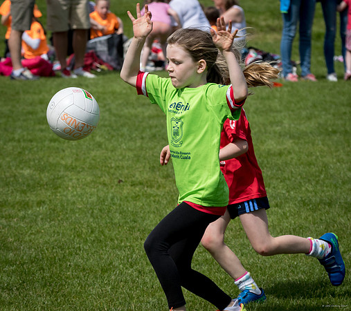 433-Cuala-Mini-All-Ireland-©-2019-John-Coveney
