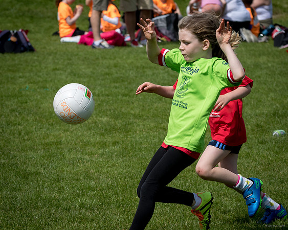 434-Cuala-Mini-All-Ireland-©-2019-John-Coveney