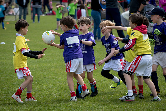 457-Cuala-Mini-All-Ireland-©-2019-John-Coveney