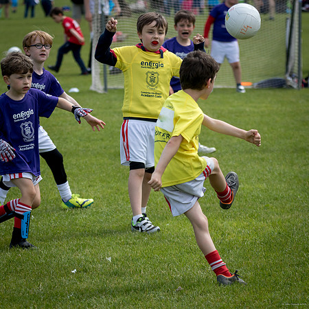 459-Cuala-Mini-All-Ireland-©-2019-John-Coveney