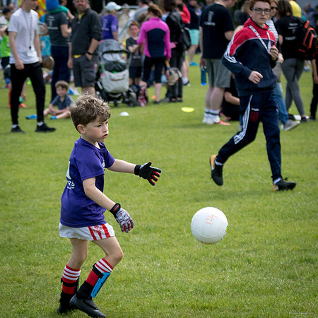 462-Cuala-Mini-All-Ireland-©-2019-John-Coveney