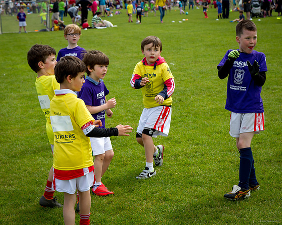 470-Cuala-Mini-All-Ireland-©-2019-John-Coveney