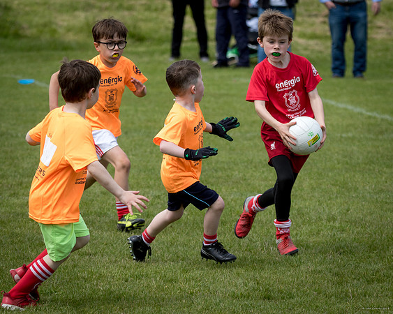 472-Cuala-Mini-All-Ireland-©-2019-John-Coveney
