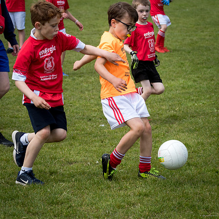 476-Cuala-Mini-All-Ireland-©-2019-John-Coveney