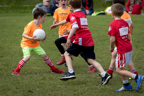 477-Cuala-Mini-All-Ireland-©-2019-John-Coveney