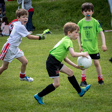479-Cuala-Mini-All-Ireland-©-2019-John-Coveney