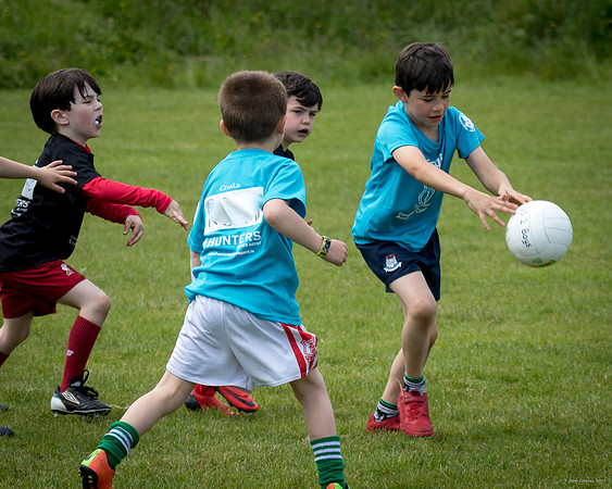 480-Cuala-Mini-All-Ireland-©-2019-John-Coveney