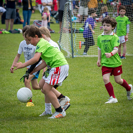 484-Cuala-Mini-All-Ireland-©-2019-John-Coveney