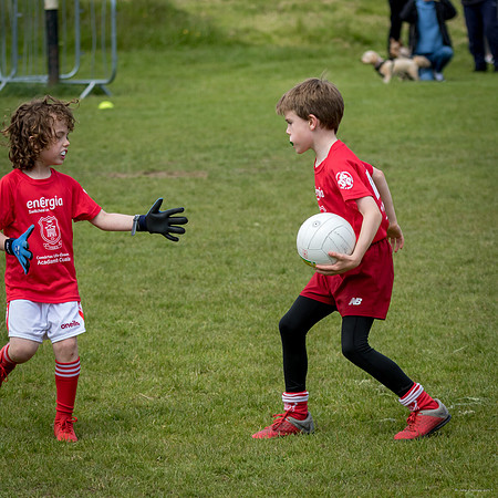 485-Cuala-Mini-All-Ireland-©-2019-John-Coveney