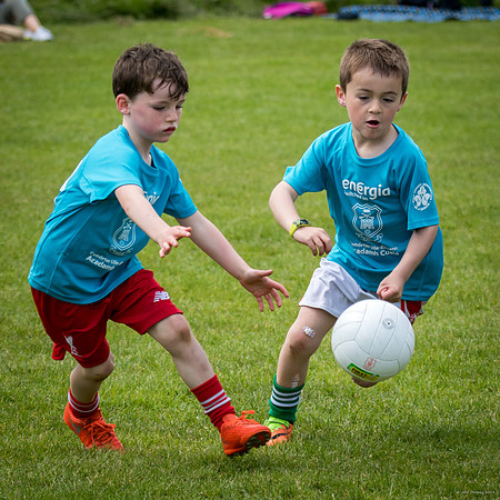 482-Cuala-Mini-All-Ireland-©-2019-John-Coveney
