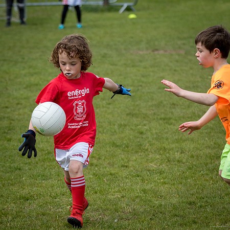 486-Cuala-Mini-All-Ireland-©-2019-John-Coveney