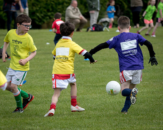 489-Cuala-Mini-All-Ireland-©-2019-John-Coveney