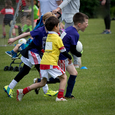 490-Cuala-Mini-All-Ireland-©-2019-John-Coveney