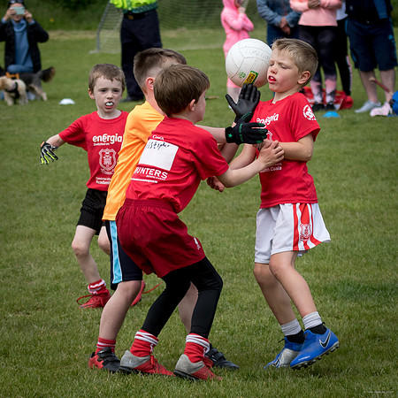 496-Cuala-Mini-All-Ireland-©-2019-John-Coveney