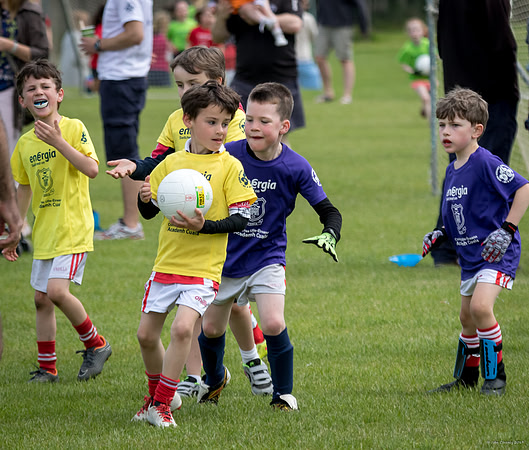 502-Cuala-Mini-All-Ireland-©-2019-John-Coveney