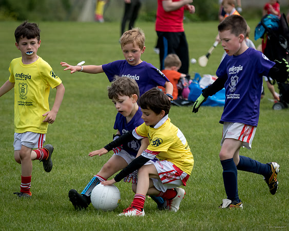 503-Cuala-Mini-All-Ireland-©-2019-John-Coveney