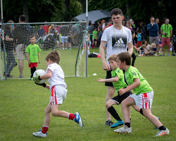 501-Cuala-Mini-All-Ireland-©-2019-John-Coveney